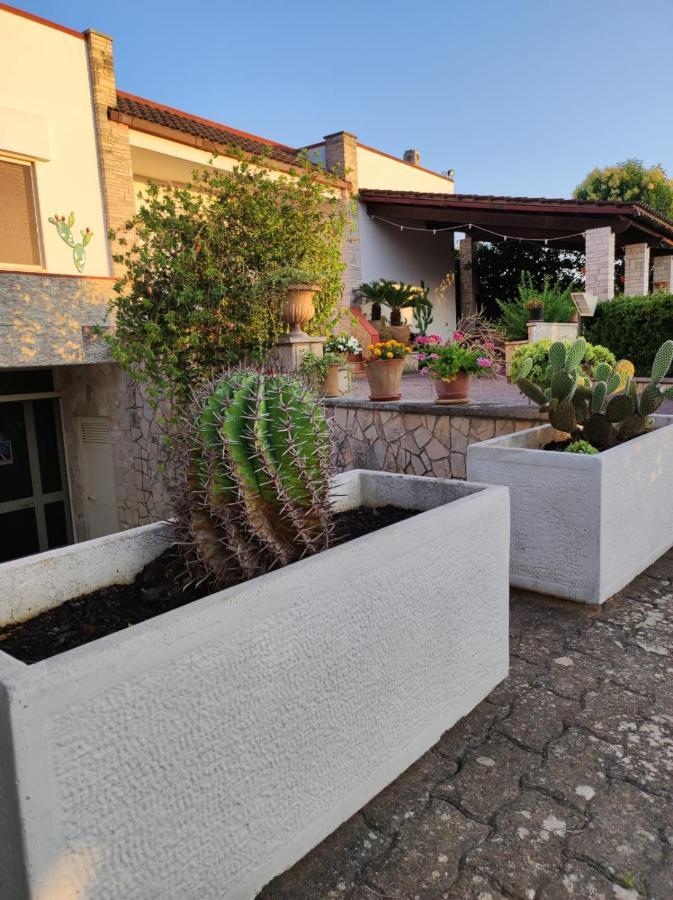 تريكاس Contrada Macchia B&B المظهر الخارجي الصورة
