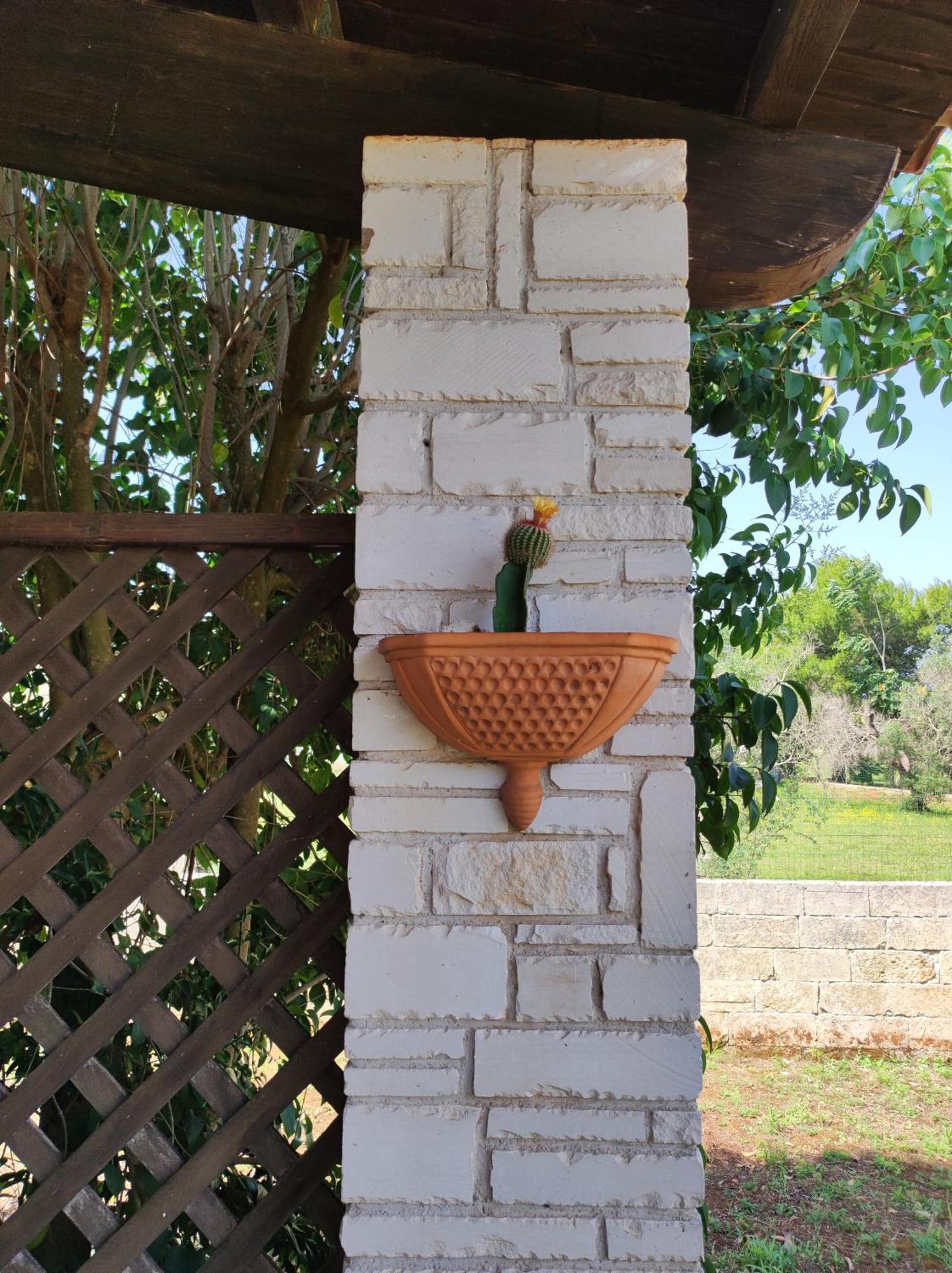 تريكاس Contrada Macchia B&B المظهر الخارجي الصورة